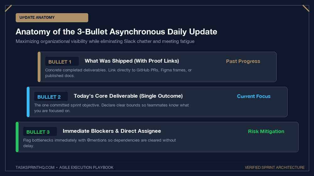 Async daily update template 3-bullet anatomical structure diagram